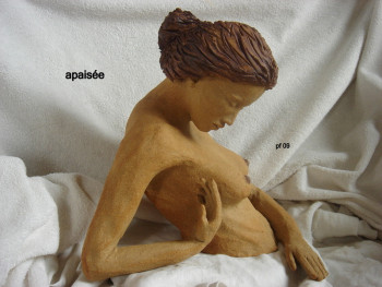 Œuvre contemporaine nommée « apaisée », Réalisée par PHILIPPE FERNANDES