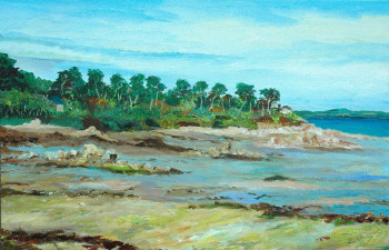 Œuvre contemporaine nommée « Baie de la petite Launay », Réalisée par PHILIPPE LE MONIES DE SAGAZAN