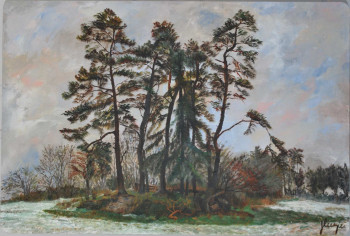 Œuvre contemporaine nommée « Bouquet de Douglas en hiver », Réalisée par JEAN LUZIER