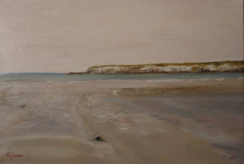 Œuvre contemporaine nommée « Plage à marée basse », Réalisée par GéRARD DUCHENE