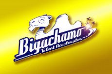 logo-biga