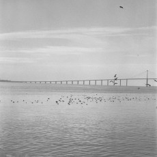 pont-de-saint-nazaire