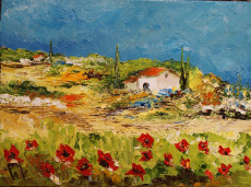 coquelicots-de-provence