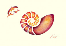 nautilune