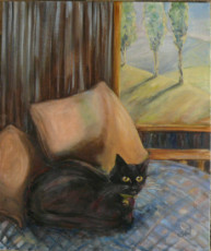 le-chat-noir