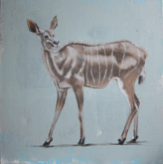 kudu