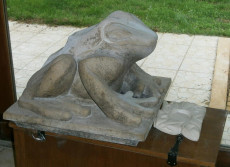 la-grenouille-detail