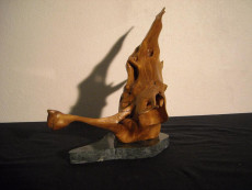 esprit-des-bois