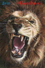 lion-2010