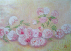 pivoines