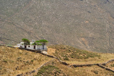 ferme-ile-de-sifnos