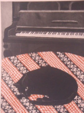 mouski-et-piano