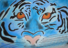 le-tigre-bleu