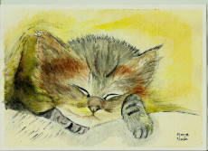 petit-chat-emmitoufle-dans-une-couverture-douillette