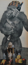 hungry-monkey