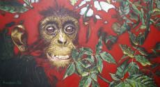 jeune-chimpanze-1982