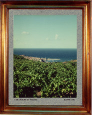 catalogne-nord-collioure-vignes-et-mer-1981
