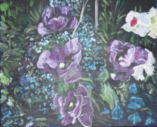 fleurs-violettes-2