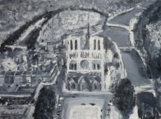 notre-dame-vue-de-haut