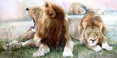 les-trois-lions