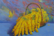 mimosas-et-papillon-jaune