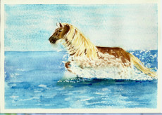 cheval-au-galop-peinture-contemporaine