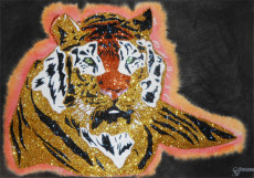 tigre-royal
