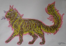 le-chat-aux-mille-etoiles