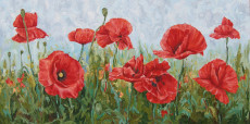 coquelicots