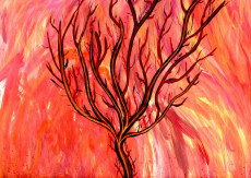 arbre-en-feu