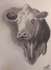 la-vache