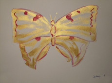 papillon3