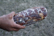 saucisson