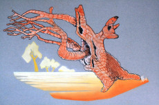 arbre-du-renard