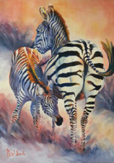les-zebres-the-zebras