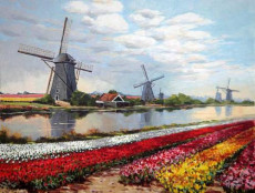 moulins-tulipes-et-canal-a-kinderdijk