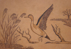 envol-canard-pilet