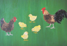 gallo-e-gallina-in-famiglia