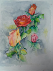 roses-du-jardin-i