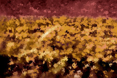 vignobles-en-automne-dans-le-sud-de-leurope