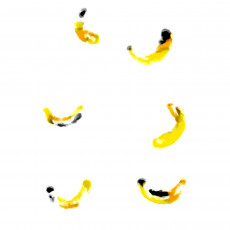 etude-dun-lancer-de-banane