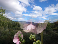 belle-lozere