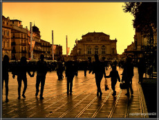 comedie-famille