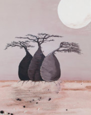 baobabs-trois-amis