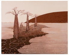 baobabs-en-terre-dechiree-survie