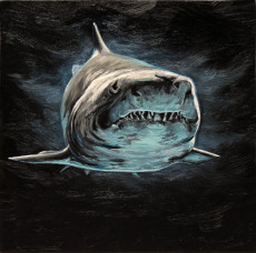 white-shark-40-x-40-cm-ready-to-hang-photorealism-realism-wild