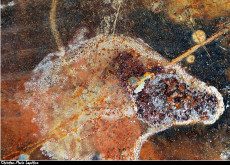 rouille-de-lascaux