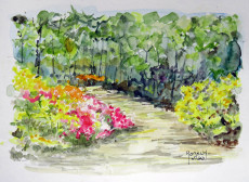 azalees-en-fleur-a-boutiguery