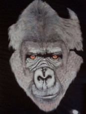 gorilla