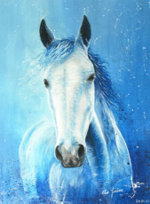 liberte